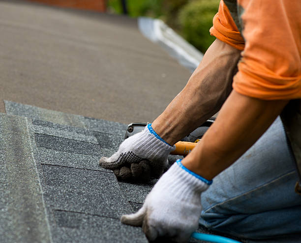Best Roof Waterproofing Services  in East Vineland, NJ