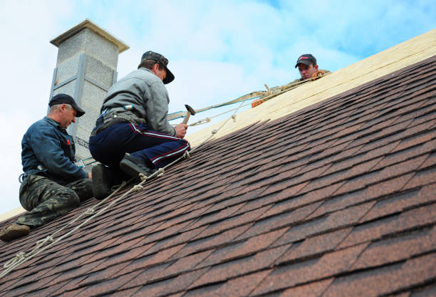 Quick and Trustworthy Emergency Roof Repair Services in East Vineland, NJ