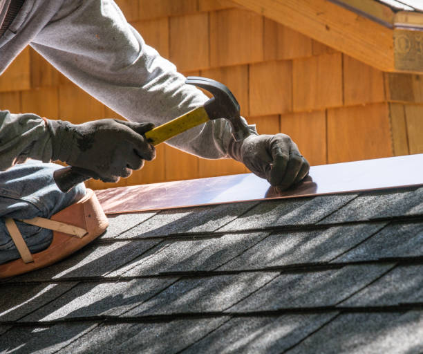 Best Roof Gutter Cleaning  in East Vineland, NJ